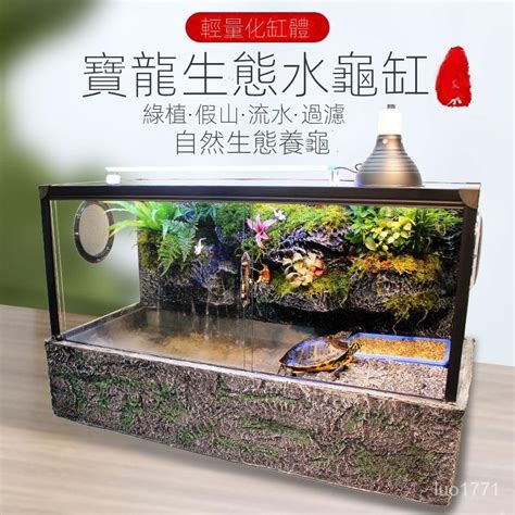 養烏龜的水|【烏龜缸diy】最全烏龜缸布置、造景、換水總整理，新手不煩惱